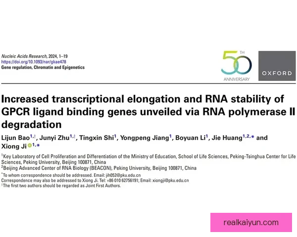 德甲沃尔夫斯堡引援动态引发外界关注，球队新赛季实力有望增强